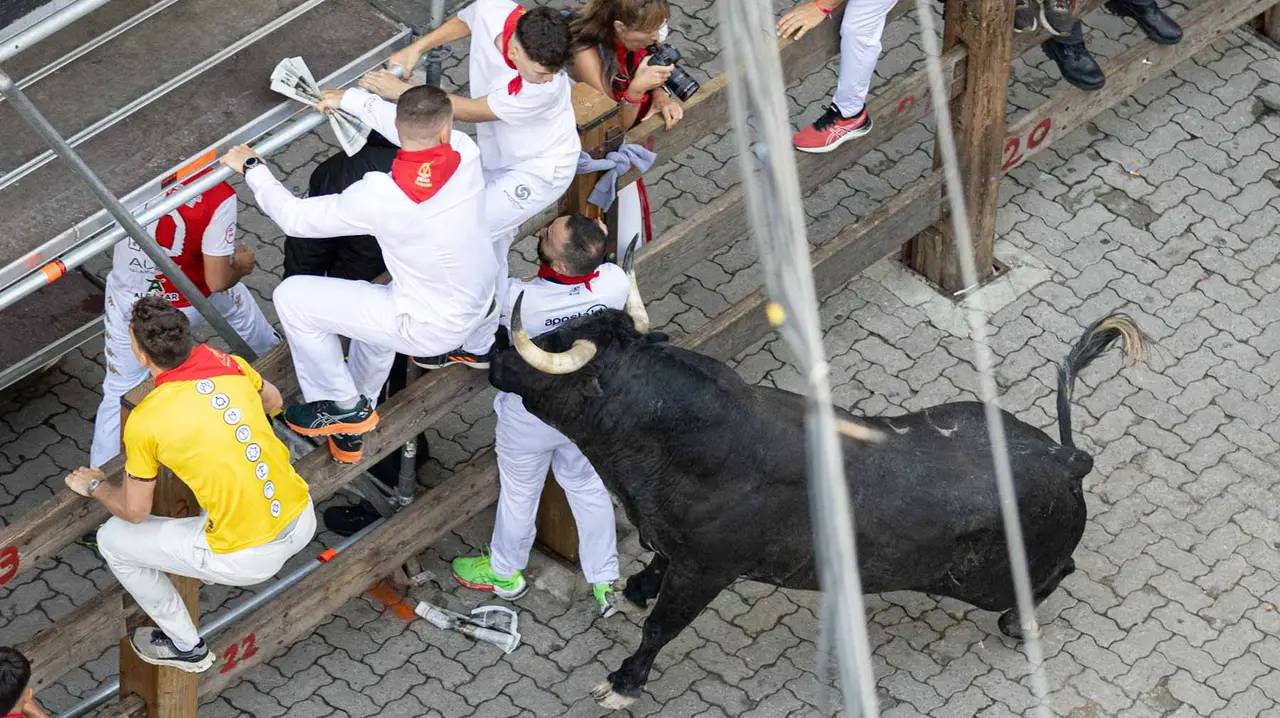 Segundo encierro de San Fermín 2015 con toros de Cebada Gago en Telefonica. Maite H. Mateo.-74