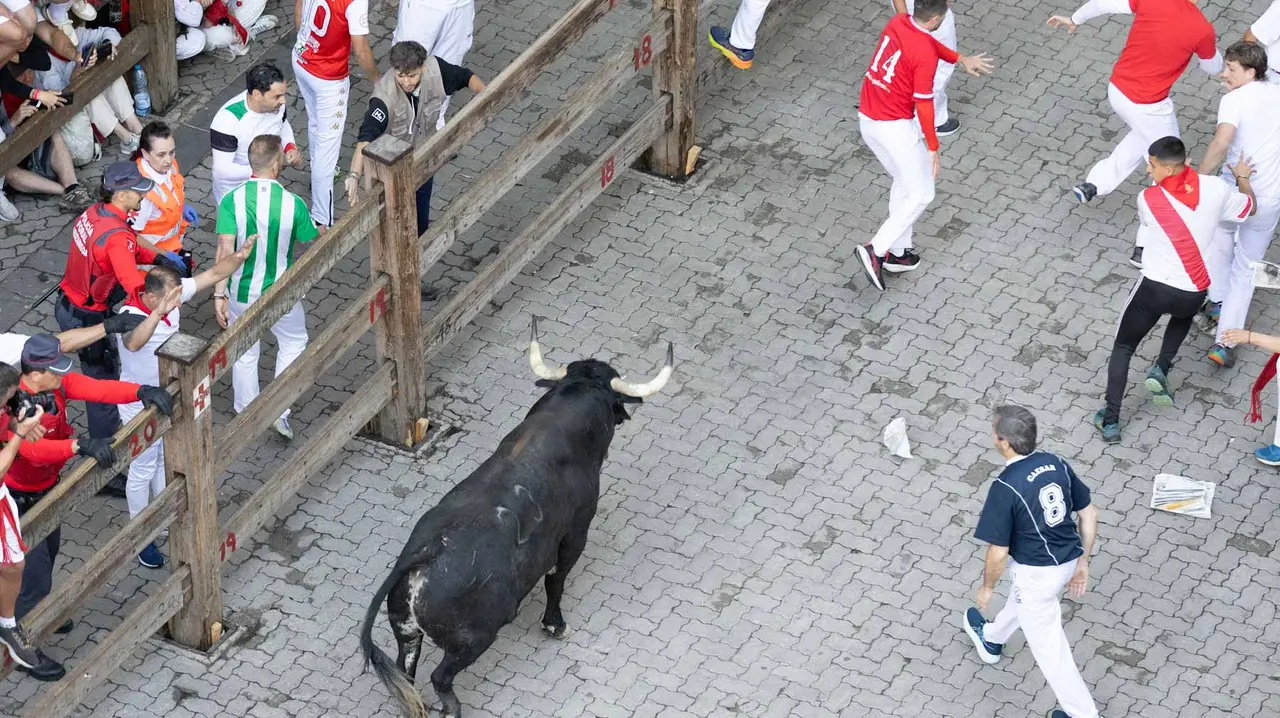 Segundo encierro de San Fermín 2015 con toros de Cebada Gago en Telefonica. Maite H. Mateo.-78