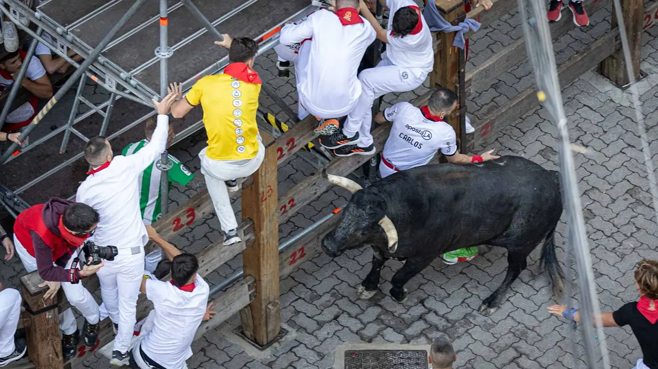 Segundo encierro de San Fermín 2015 con toros de Cebada Gago en Telefonica. Maite H. Mateo.-77