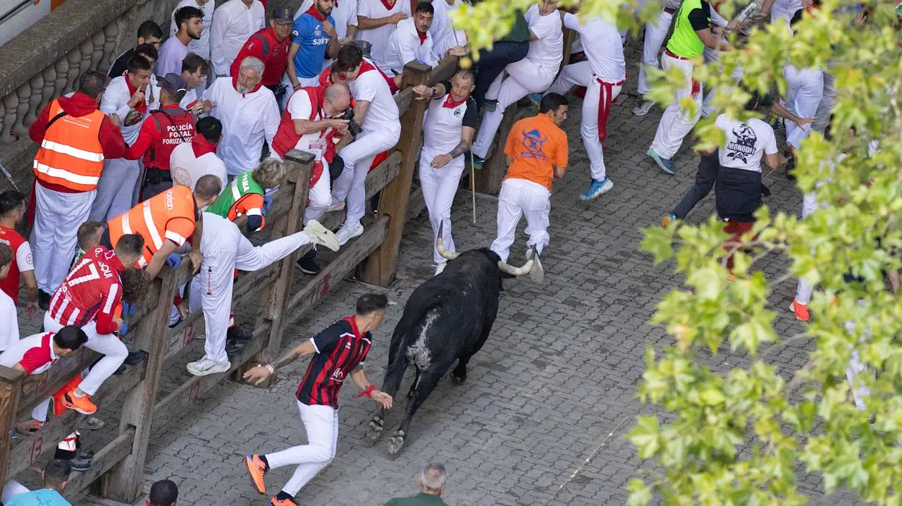 Segundo encierro de San Fermín 2015 con toros de Cebada Gago en Telefonica. Maite H. Mateo.-82