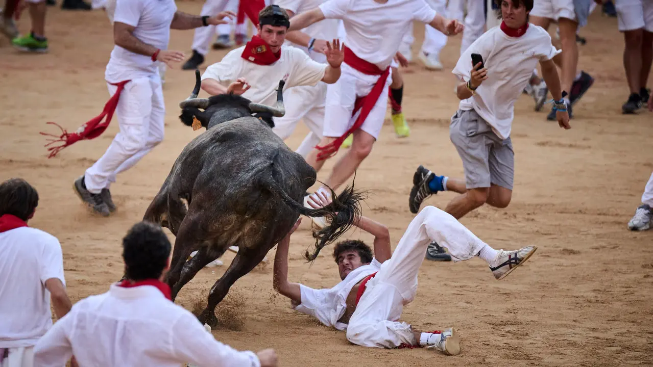 Festejo de vacas en la plaza de toros tras el segundo encierro de San Fermín 2025. PABLO LASAOSA