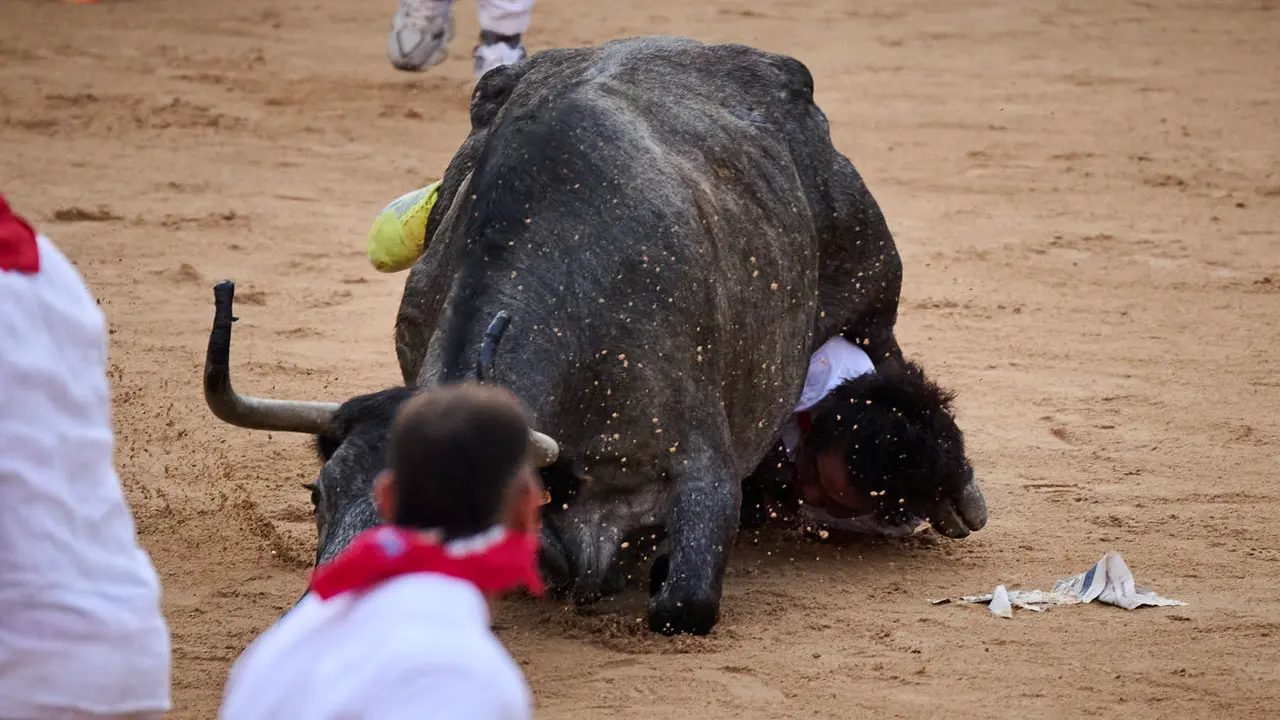 Festejo de vacas en la plaza de toros tras el segundo encierro de San Fermín 2025. PABLO LASAOSA