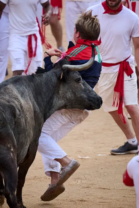 Festejo de vacas en la plaza de toros tras el segundo encierro de San Fermín 2025. PABLO LASAOSA