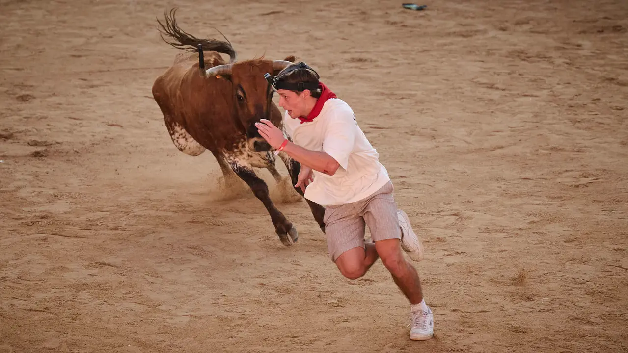 Festejo de vacas en la plaza de toros tras el segundo encierro de San Fermín 2025. PABLO LASAOSA