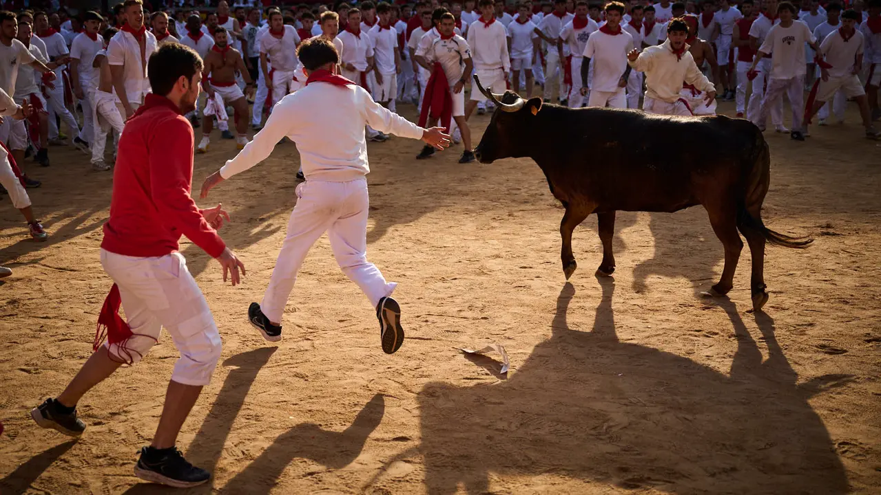 Festejo de vacas en la plaza de toros tras el segundo encierro de San Fermín 2025. PABLO LASAOSA