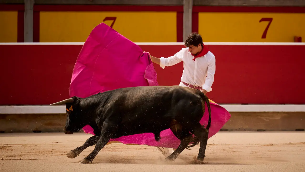 Toros en familia en la Plaza de Toros de Pamplona con Pablo Hernández, Aarón Navas, Francisco Jiménez y el torero Román como comentarista. PABLO LASAOSA