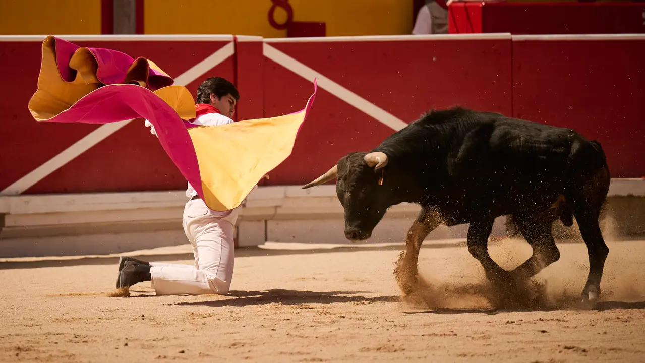 Toros en familia en la Plaza de Toros de Pamplona con Pablo Hernández, Aarón Navas, Francisco Jiménez y el torero Román como comentarista. PABLO LASAOSA