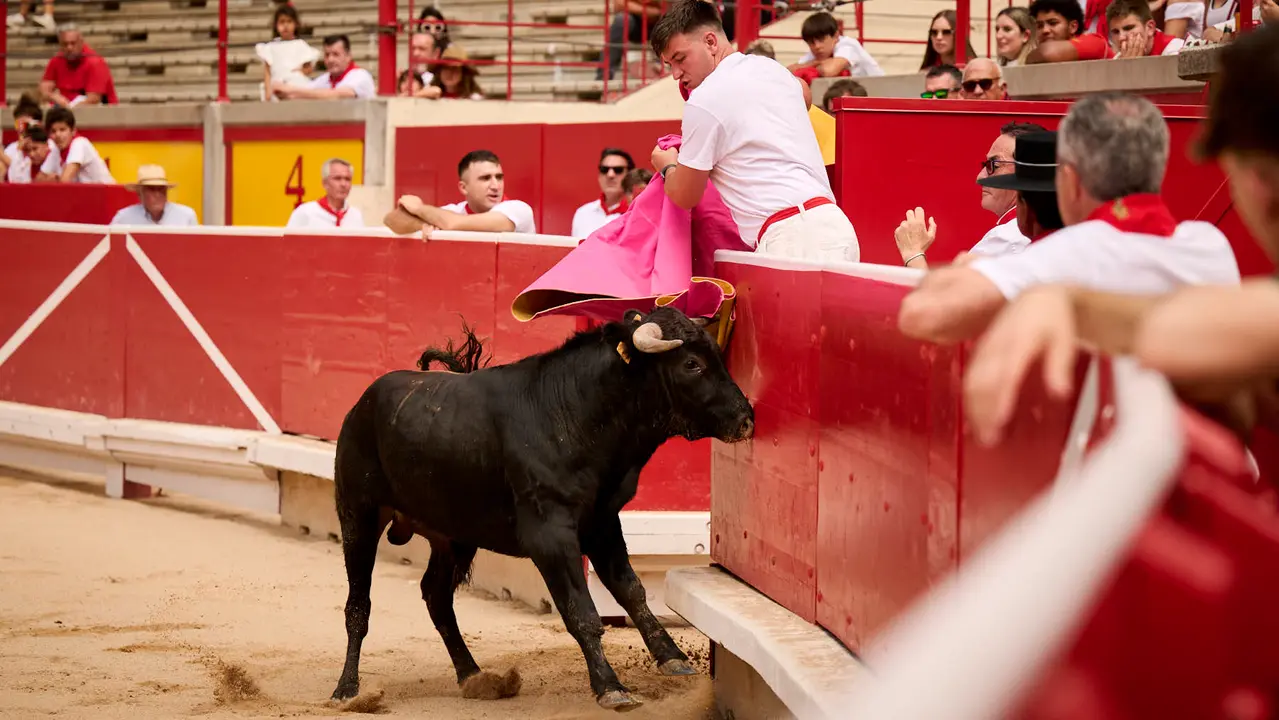 Toros en familia en la Plaza de Toros de Pamplona con Pablo Hernández, Aarón Navas, Francisco Jiménez y el torero Román como comentarista. PABLO LASAOSA