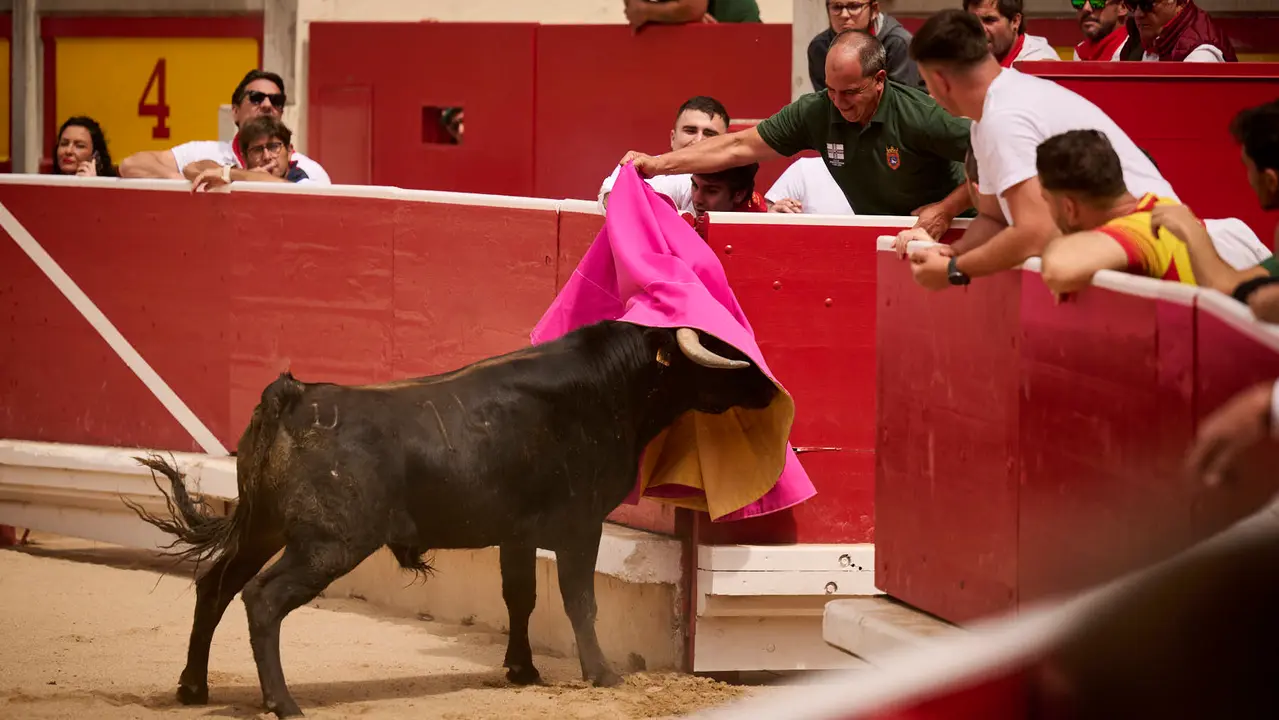 Toros en familia en la Plaza de Toros de Pamplona con Pablo Hernández, Aarón Navas, Francisco Jiménez y el torero Román como comentarista. PABLO LASAOSA