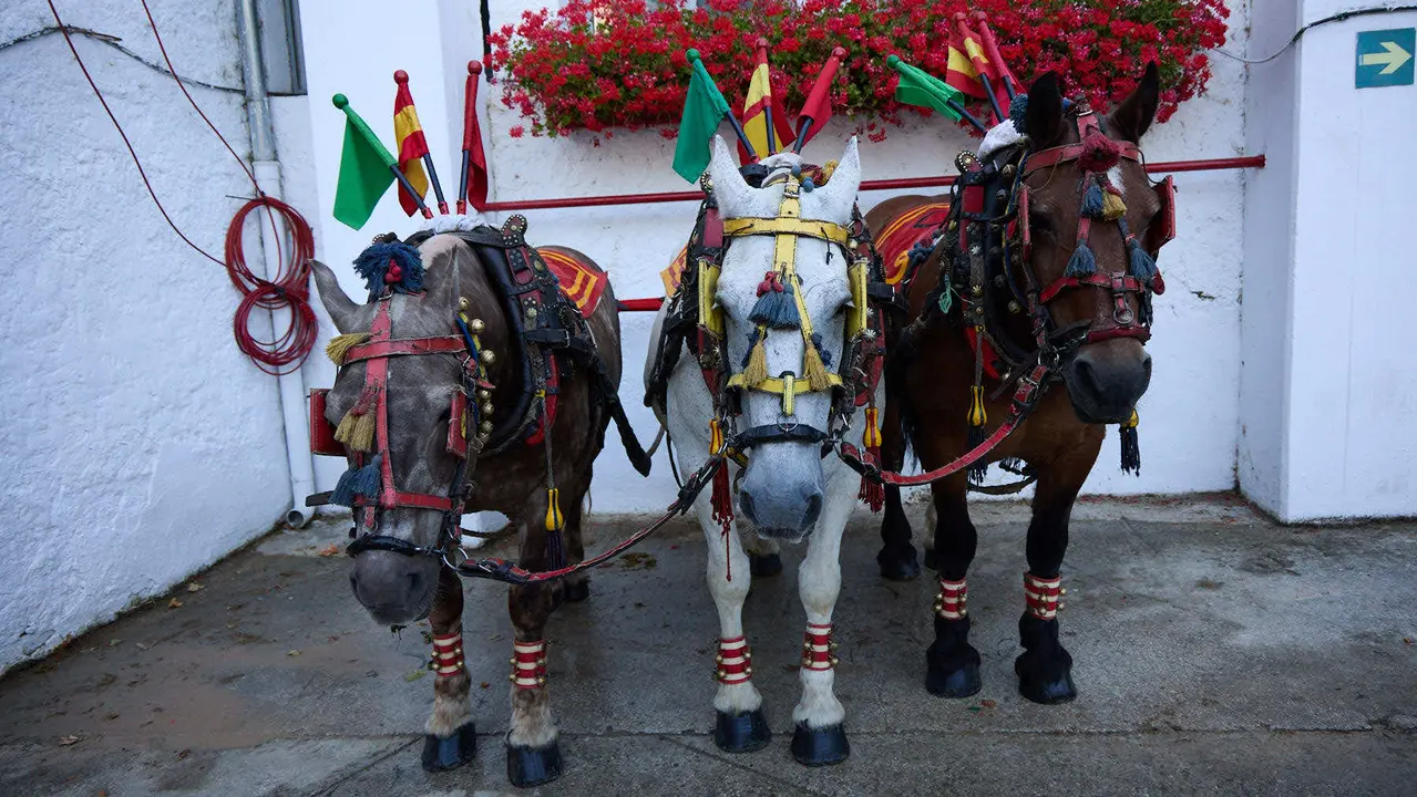 Segunda corrida de la Feria del Toro de San Fermín 2025 con toros de Cebada Gago para Antonio Ferrera, Pepe Moral y Román. IÑIGO ALZUGARAY