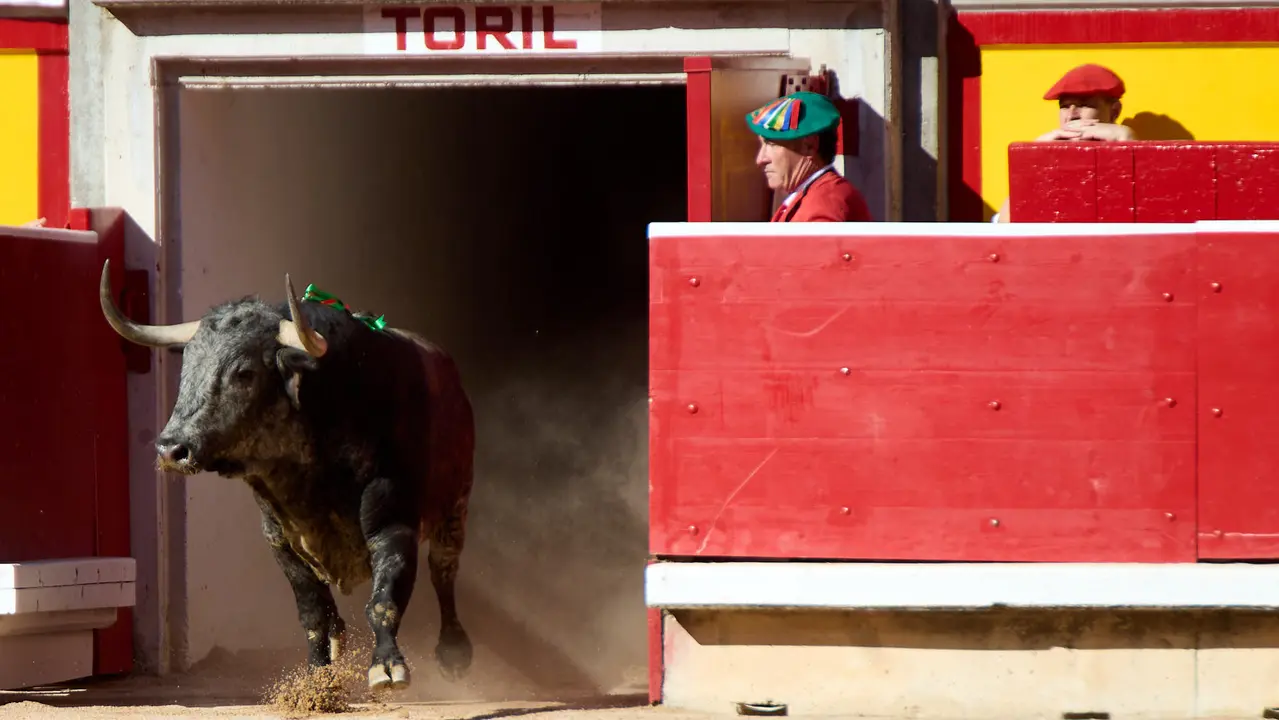 Segunda corrida de la Feria del Toro de San Fermín 2025 con toros de Cebada Gago para Antonio Ferrera, Pepe Moral y Román. IÑIGO ALZUGARAY