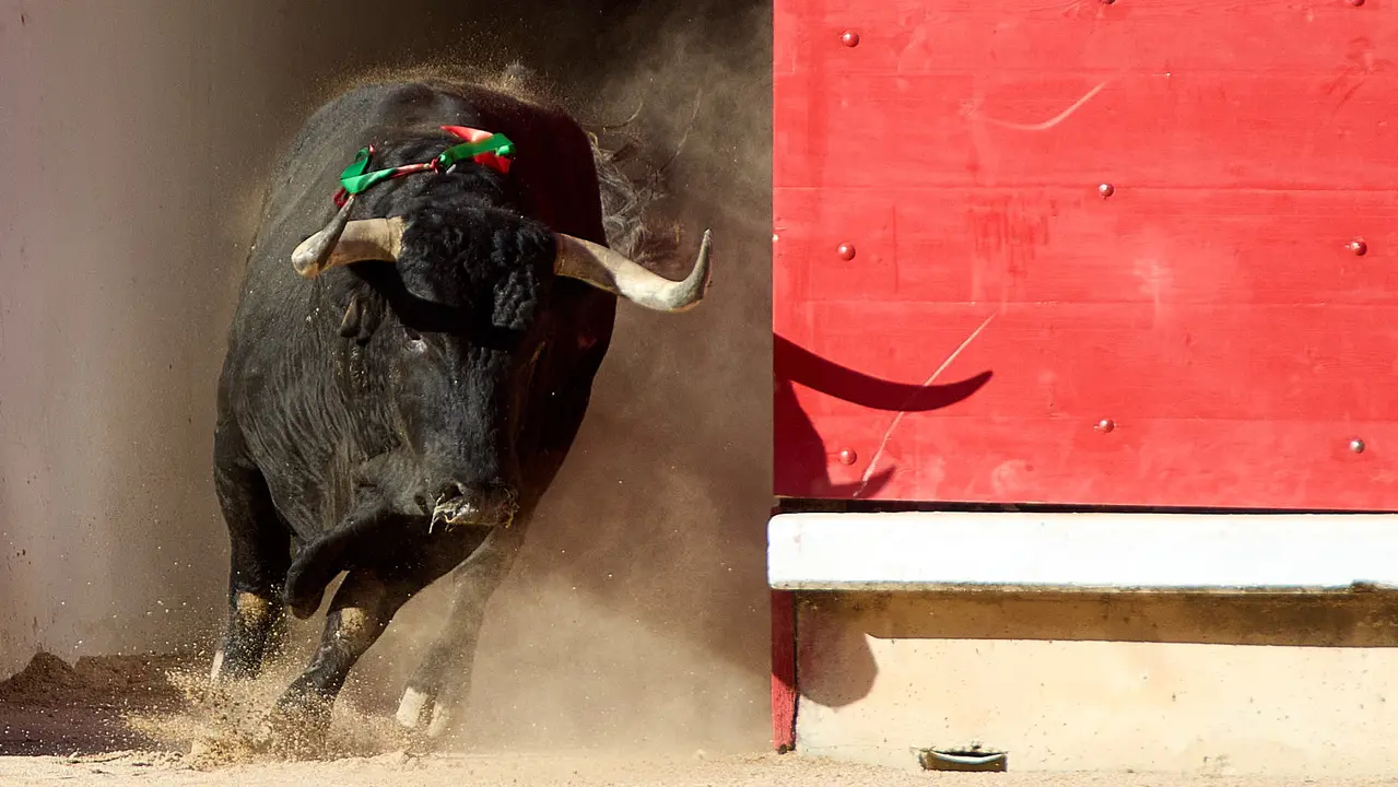 Segunda corrida de la Feria del Toro de San Fermín 2025 con toros de Cebada Gago para Antonio Ferrera, Pepe Moral y Román. IÑIGO ALZUGARAY
