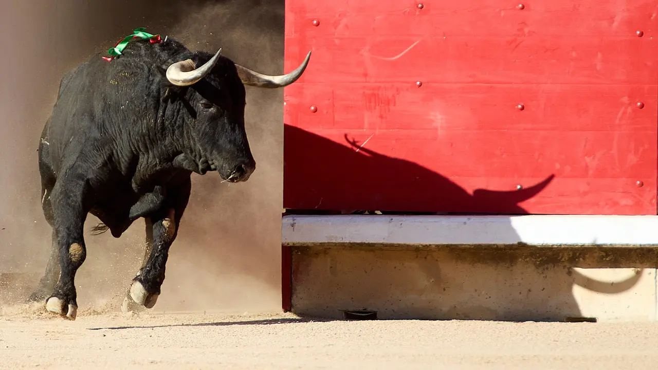 Segunda corrida de la Feria del Toro de San Fermín 2025 con toros de Cebada Gago para Antonio Ferrera, Pepe Moral y Román. IÑIGO ALZUGARAY
