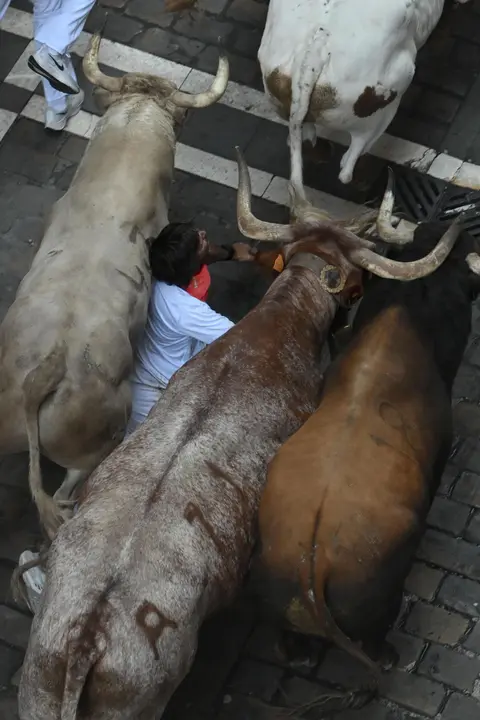 Tercer encierro de San Fermín 2025 el día 9 de julio con toros de Álvaro Núñez en Estafeta. EFE - JOSE LUIS LARRIÓN (4)