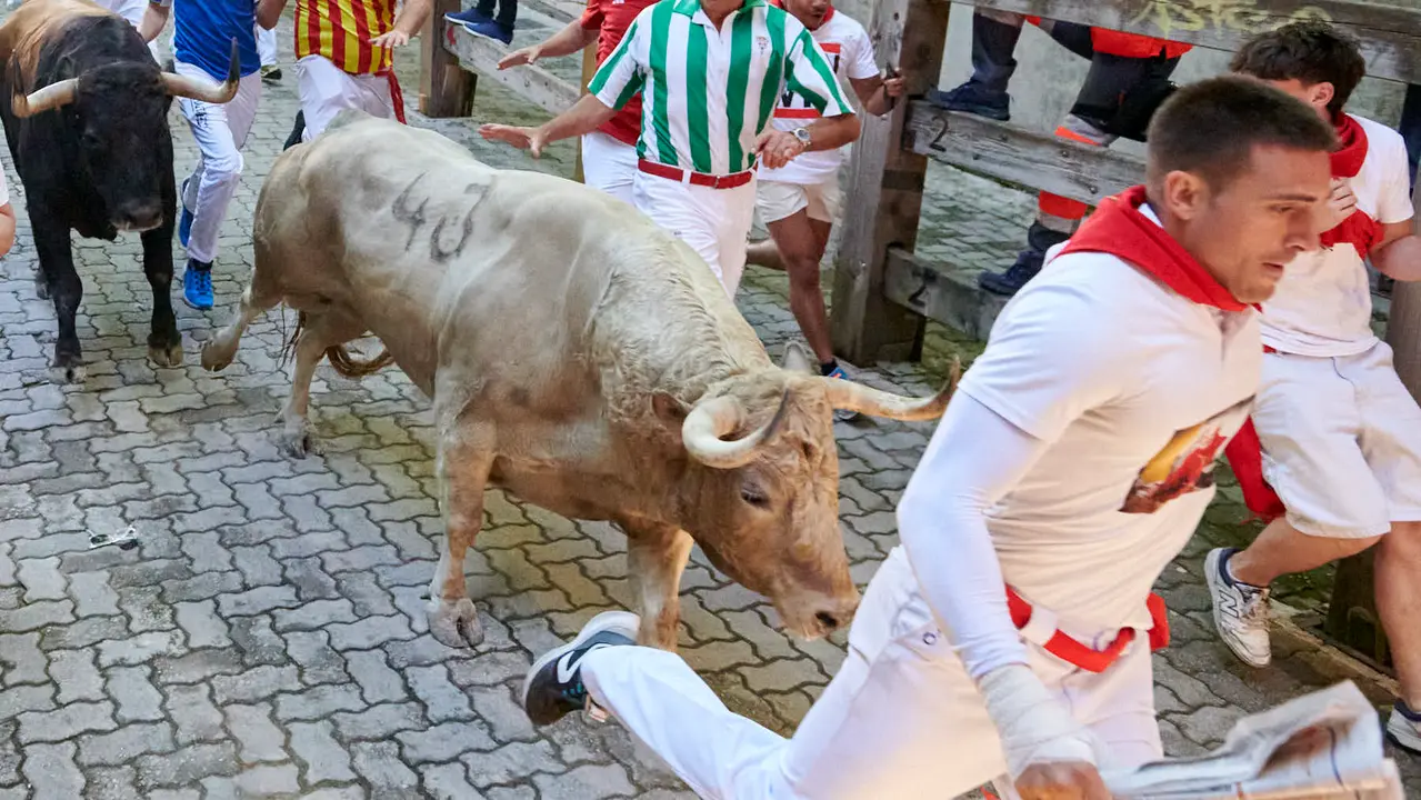 Tercer encierro de San Fermín 2025 con toros de Álvaro Nuñez en la bajada del callejón en Telefónica. IRANZU LARRASOAÑA