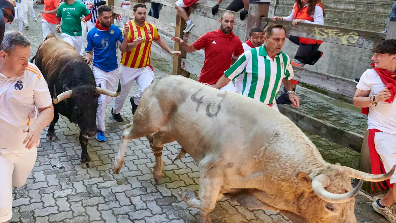 Tercer encierro de San Fermín 2025 con toros de Álvaro Nuñez en la bajada del callejón en Telefónica. IRANZU LARRASOAÑA