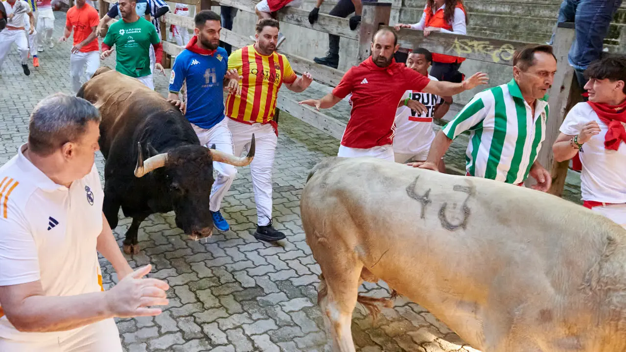 Tercer encierro de San Fermín 2025 con toros de Álvaro Nuñez en la bajada del callejón en Telefónica. IRANZU LARRASOAÑA