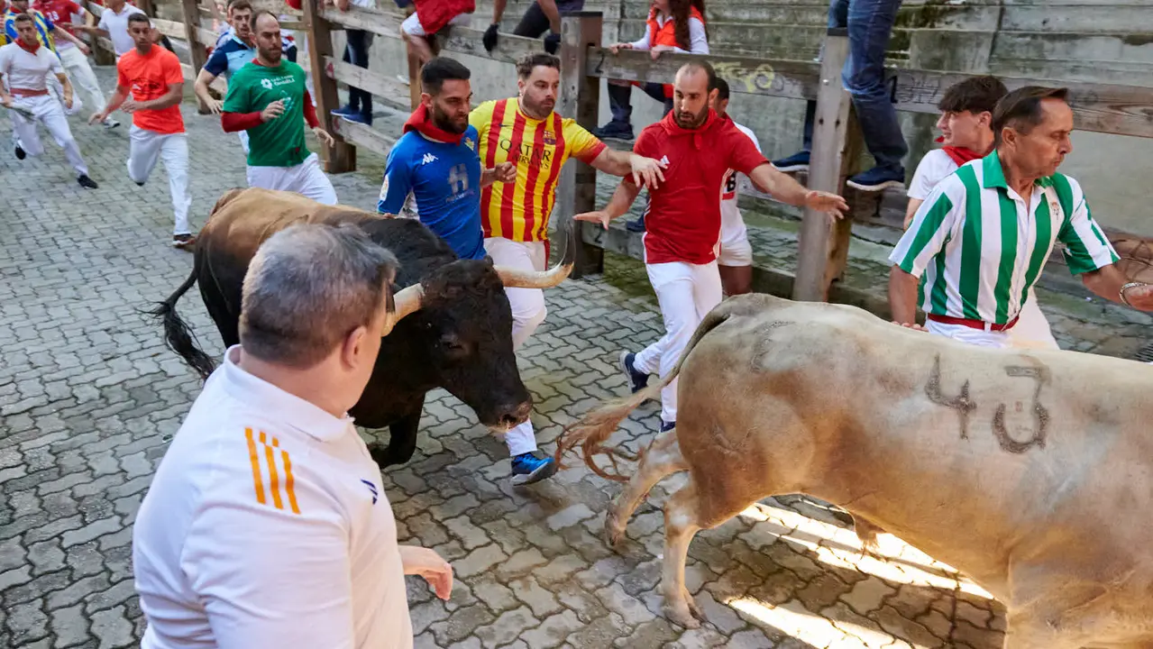 Tercer encierro de San Fermín 2025 con toros de Álvaro Nuñez en la bajada del callejón en Telefónica. IRANZU LARRASOAÑA