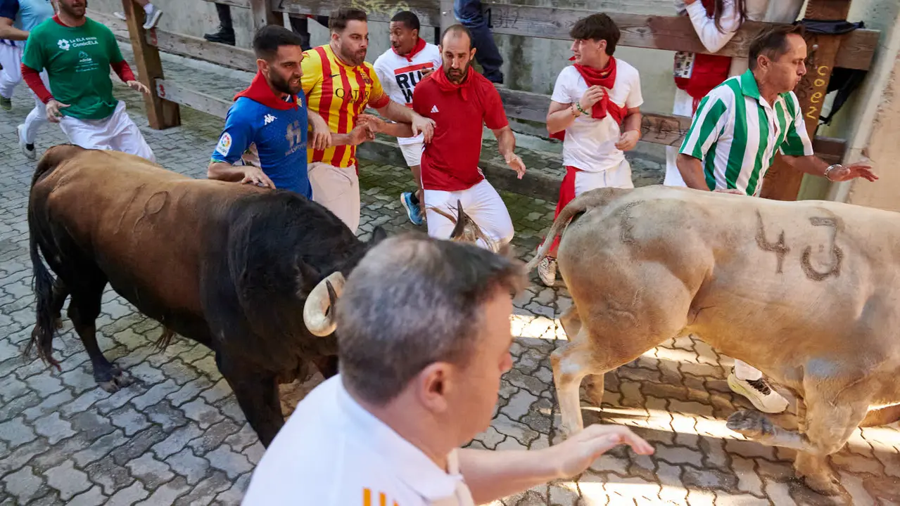 Tercer encierro de San Fermín 2025 con toros de Álvaro Nuñez en la bajada del callejón en Telefónica. IRANZU LARRASOAÑA