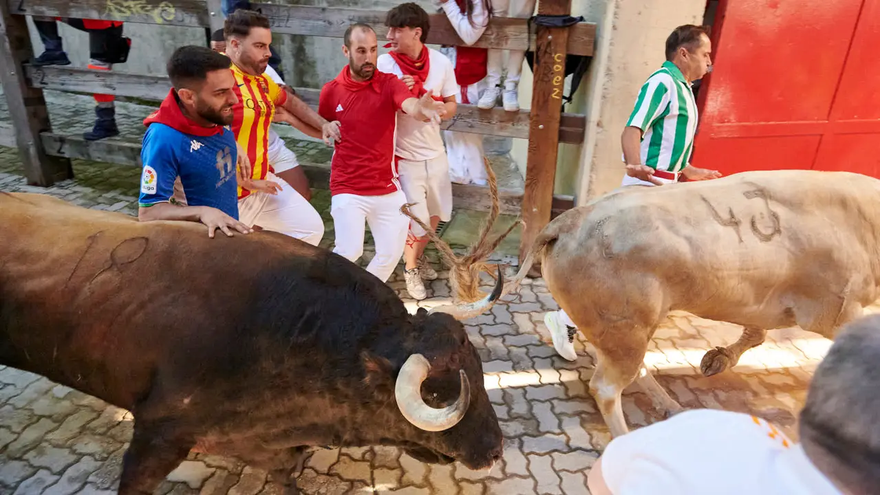 Tercer encierro de San Fermín 2025 con toros de Álvaro Nuñez en la bajada del callejón en Telefónica. IRANZU LARRASOAÑA