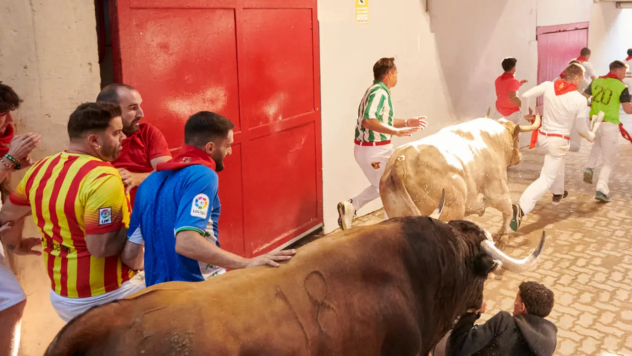 Tercer encierro de San Fermín 2025 con toros de Álvaro Nuñez en la bajada del callejón en Telefónica. IRANZU LARRASOAÑA
