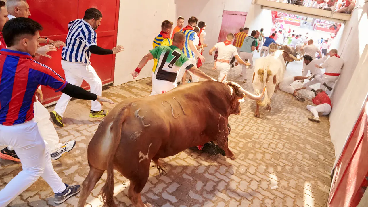 Tercer encierro de San Fermín 2025 con toros de Álvaro Nuñez en la bajada del callejón en Telefónica. IRANZU LARRASOAÑA
