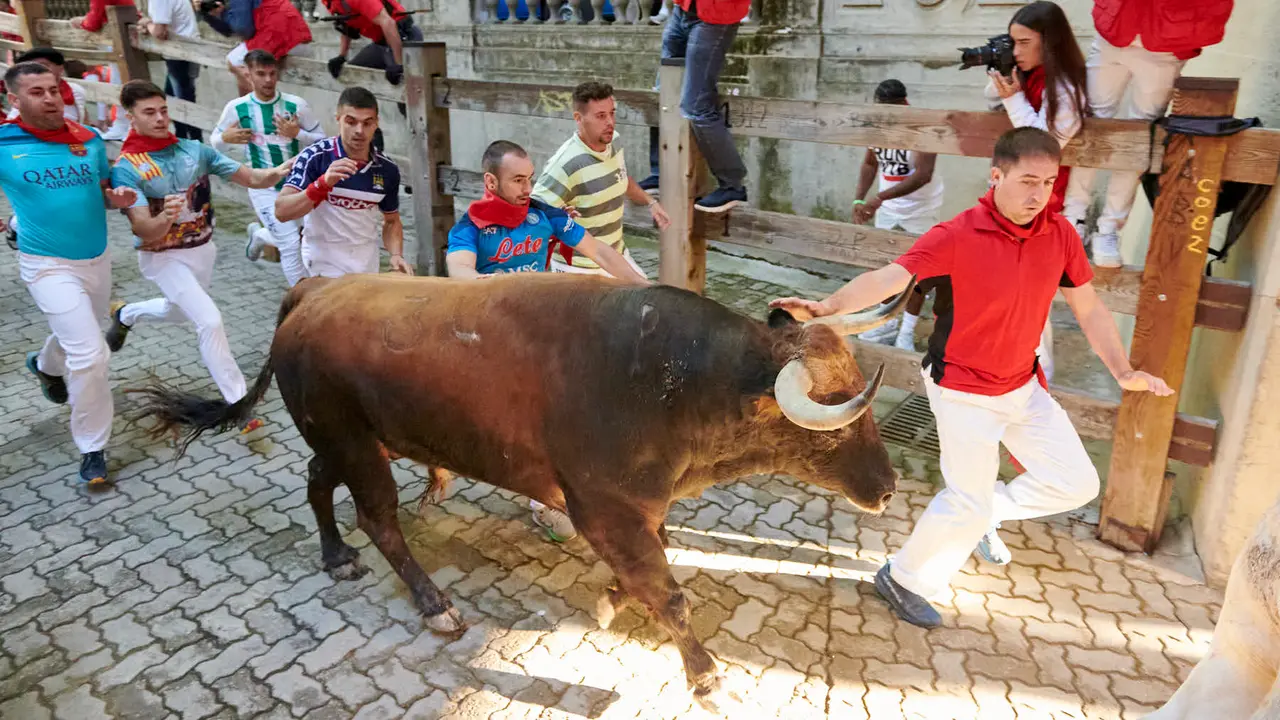 Tercer encierro de San Fermín 2025 con toros de Álvaro Nuñez en la bajada del callejón en Telefónica. IRANZU LARRASOAÑA