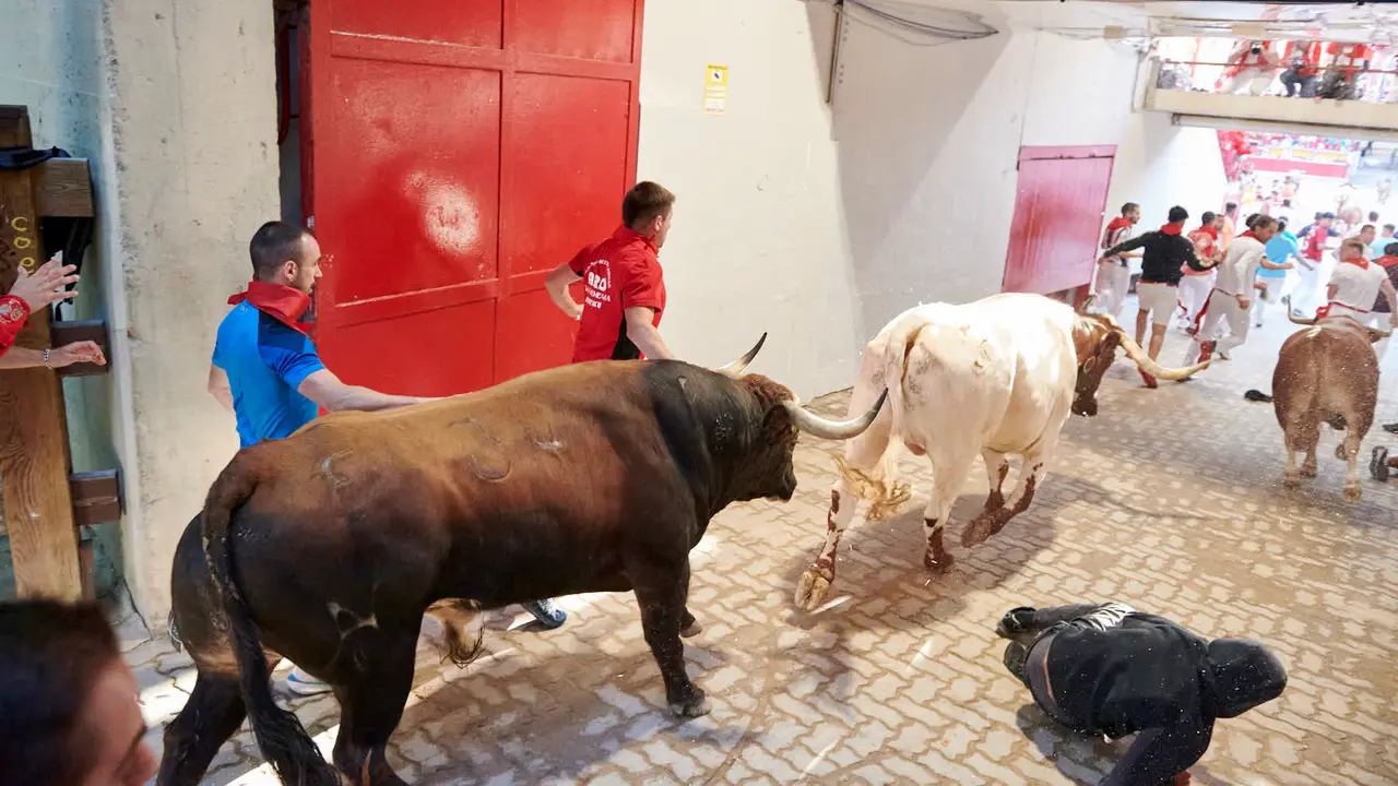 Tercer encierro de San Fermín 2025 con toros de Álvaro Nuñez en la bajada del callejón en Telefónica. IRANZU LARRASOAÑA