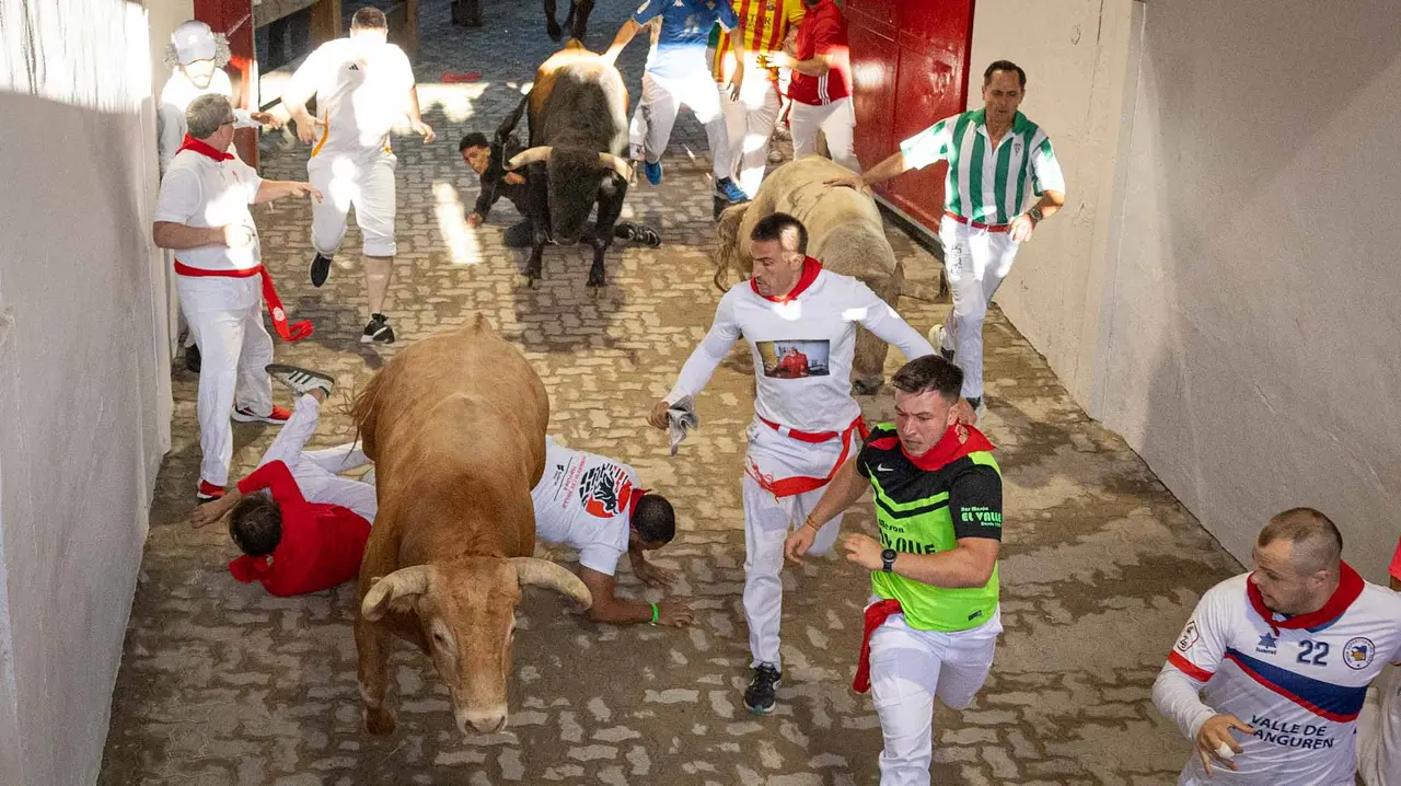 Tercer encierro de San Fermín con toros de Álvaro Núñerz en callejón plaza.. Maite H. Mateo.-12