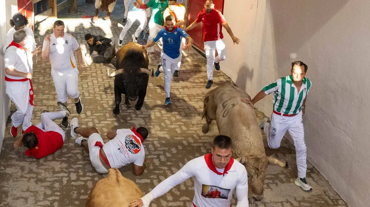 Tercer encierro de San Fermín con toros de Álvaro Núñerz en callejón plaza.. Maite H. Mateo.-13