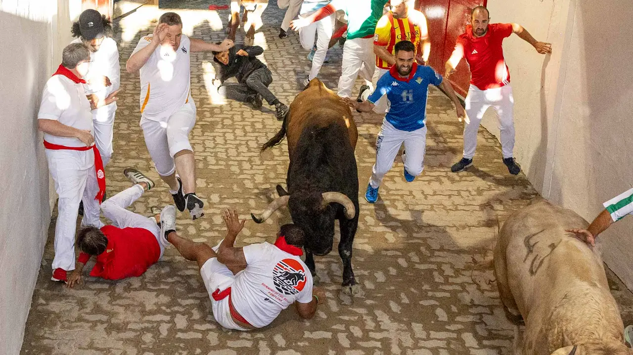 Tercer encierro de San Fermín con toros de Álvaro Núñerz en callejón plaza.. Maite H. Mateo.-14