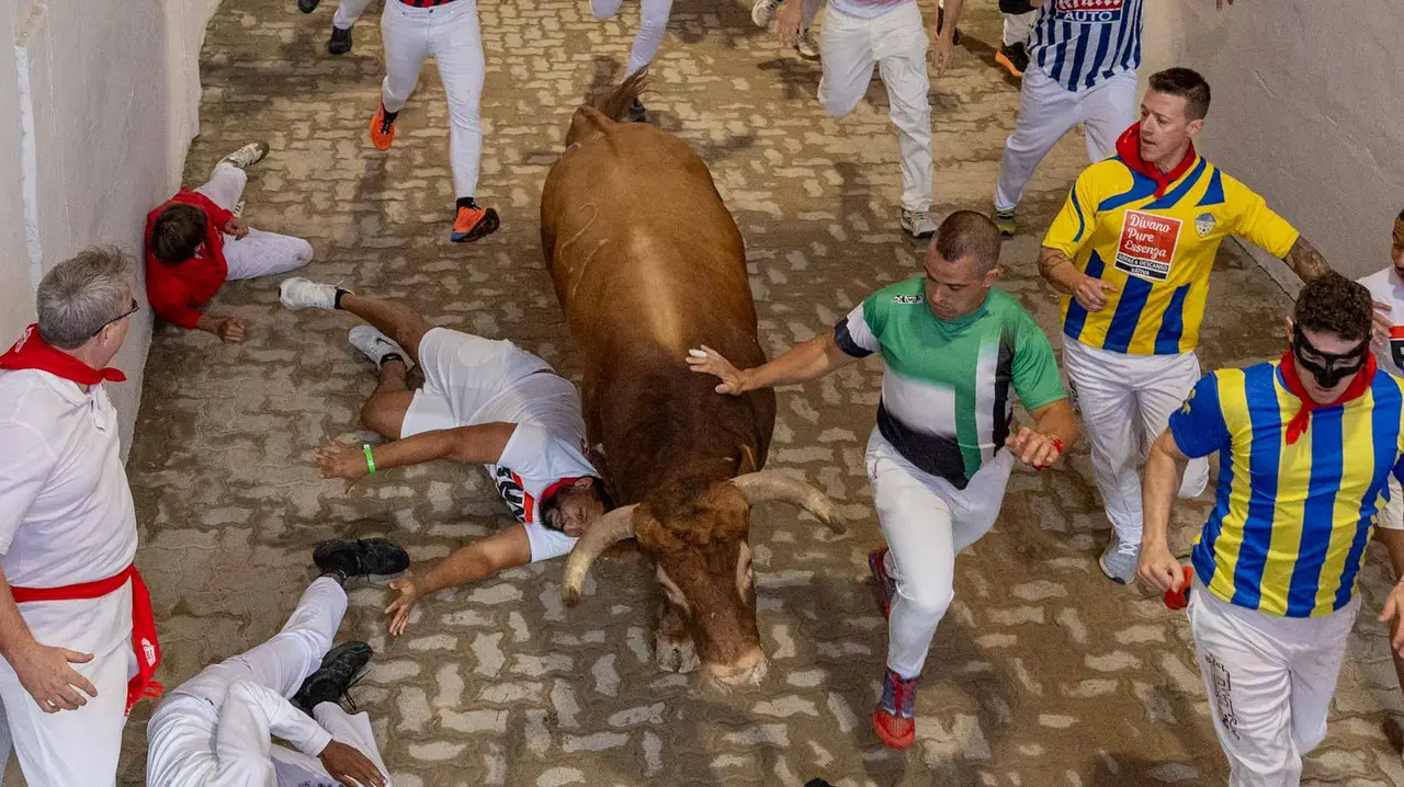 Tercer encierro de San Fermín con toros de Álvaro Núñerz en callejón plaza.. Maite H. Mateo.-19