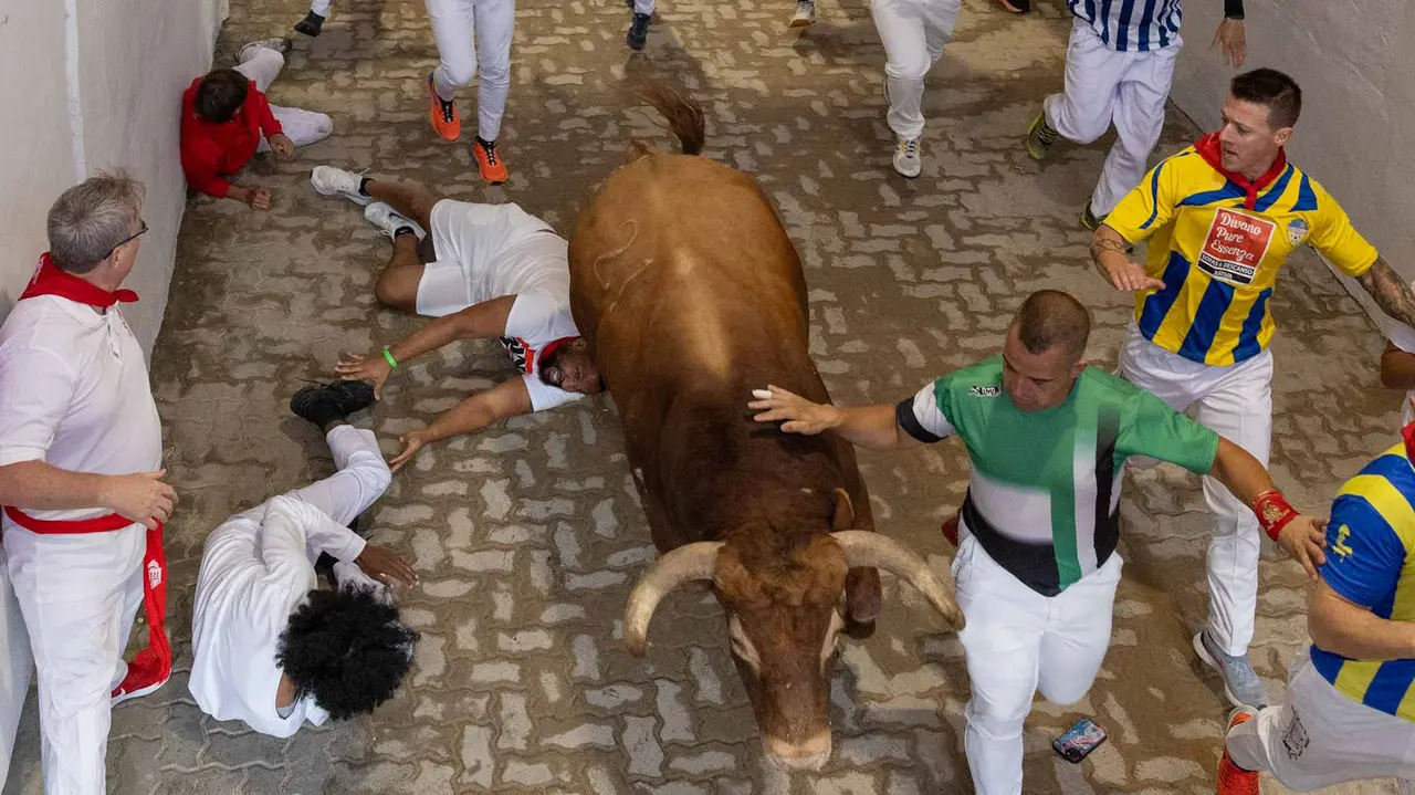 Tercer encierro de San Fermín con toros de Álvaro Núñerz en callejón plaza.. Maite H. Mateo.-20