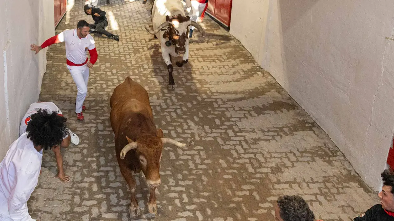Tercer encierro de San Fermín con toros de Álvaro Núñerz en callejón plaza.. Maite H. Mateo.-24