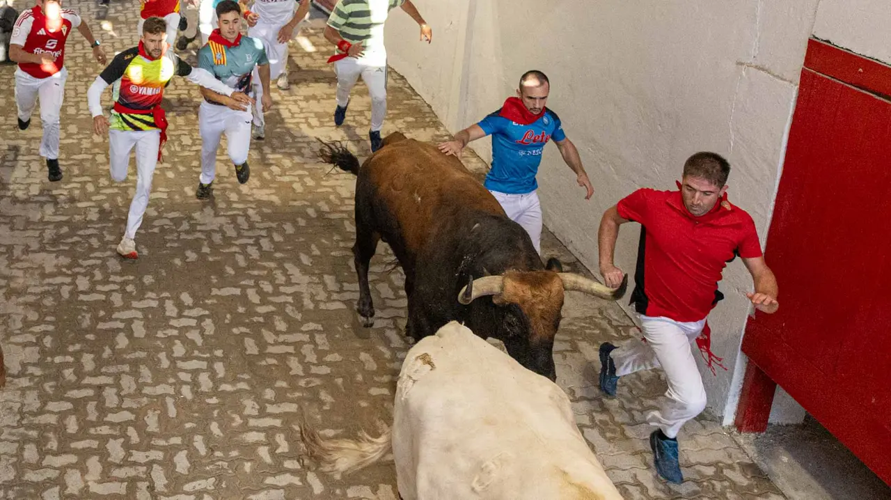 Tercer encierro de San Fermín con toros de Álvaro Núñerz en callejón plaza.. Maite H. Mateo.-25