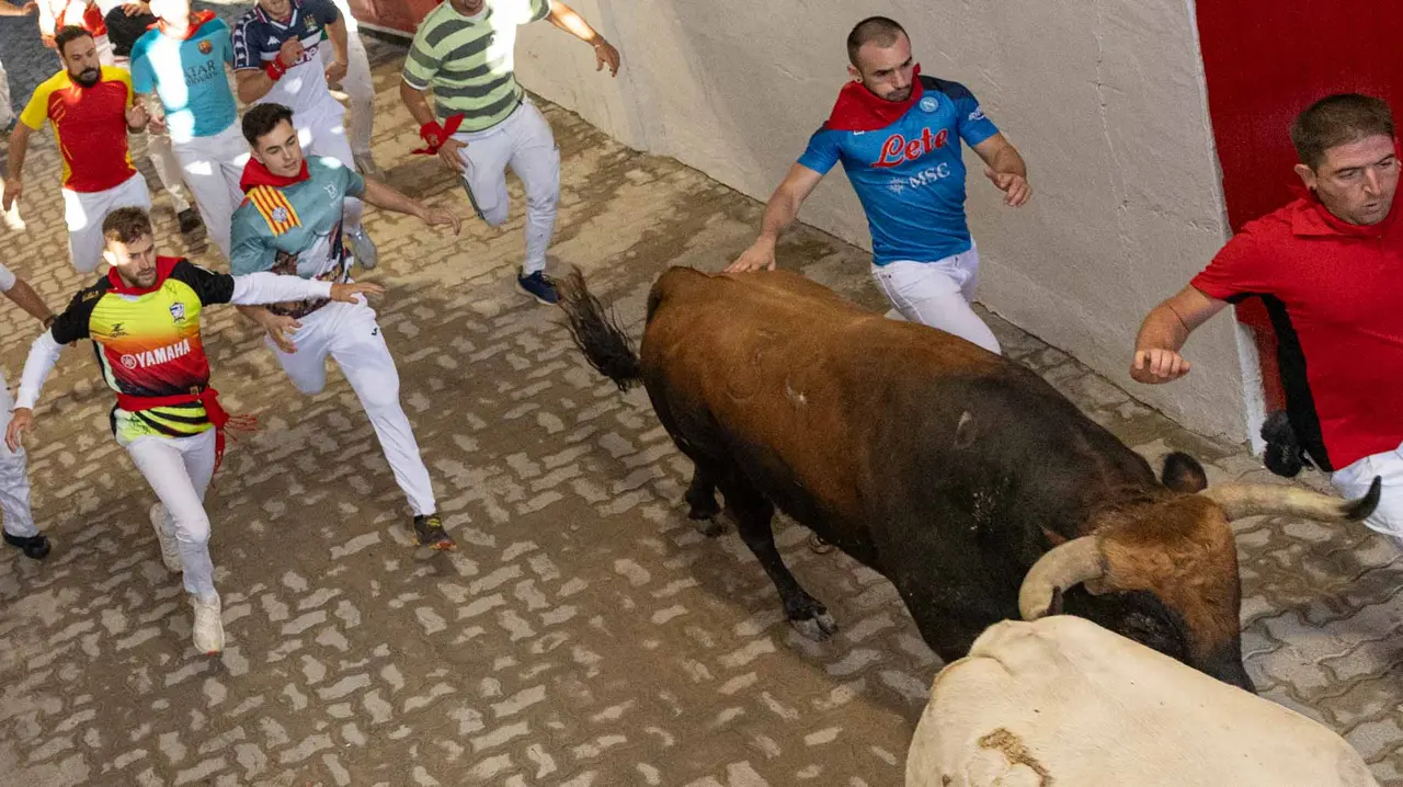 Tercer encierro de San Fermín con toros de Álvaro Núñerz en callejón plaza.. Maite H. Mateo.-26
