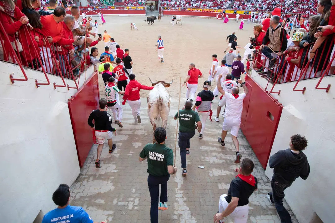 Tercer encierro de San Fermín con toros de Álvaro Núñerz en callejón plaza.. Maite H. Mateo.-01
