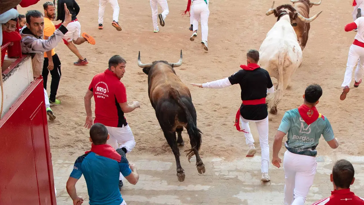 Tercer encierro de San Fermín con toros de Álvaro Núñerz en callejón plaza.. Maite H. Mateo.-02