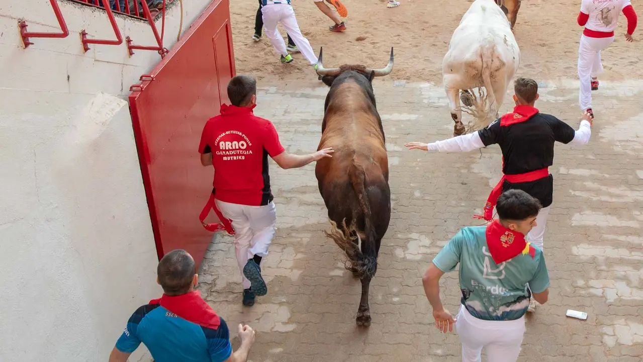 Tercer encierro de San Fermín con toros de Álvaro Núñerz en callejón plaza.. Maite H. Mateo.-03