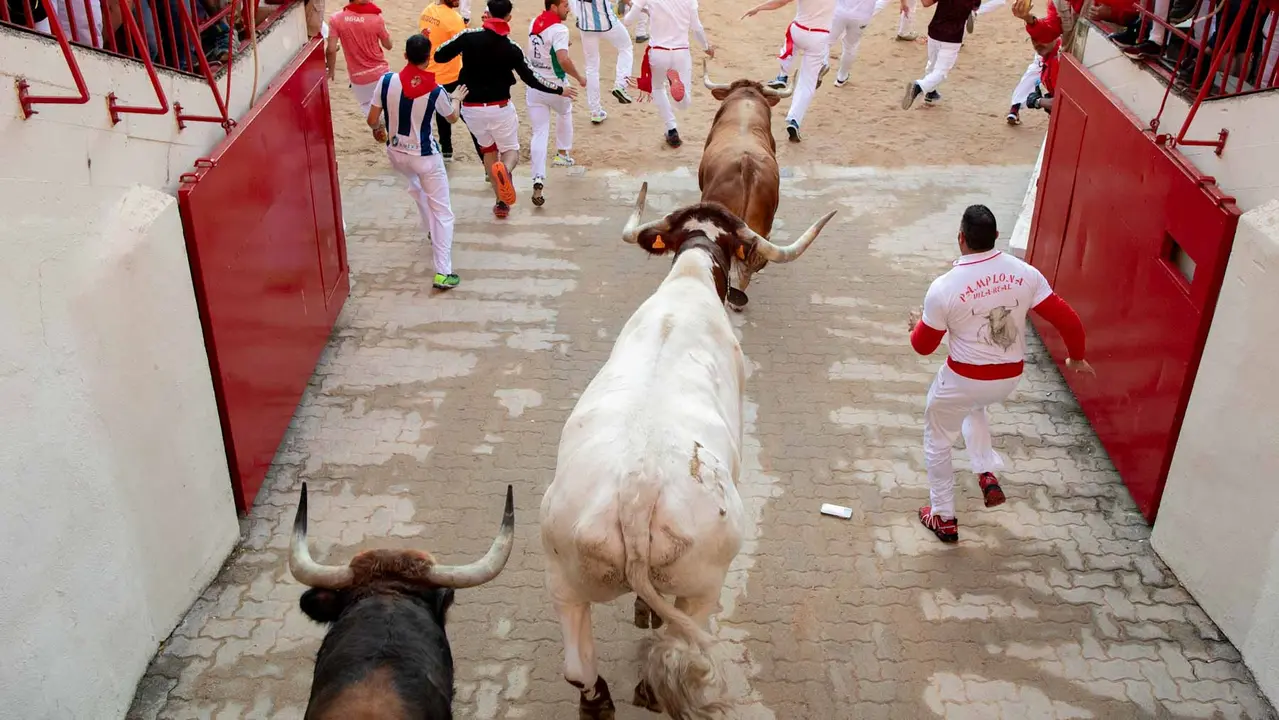 Tercer encierro de San Fermín con toros de Álvaro Núñerz en callejón plaza.. Maite H. Mateo.-04