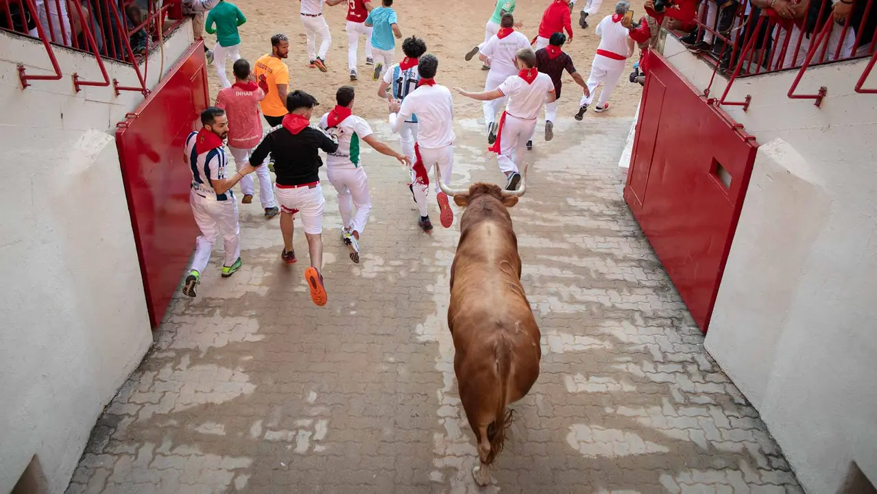 Tercer encierro de San Fermín con toros de Álvaro Núñerz en callejón plaza.. Maite H. Mateo.-05