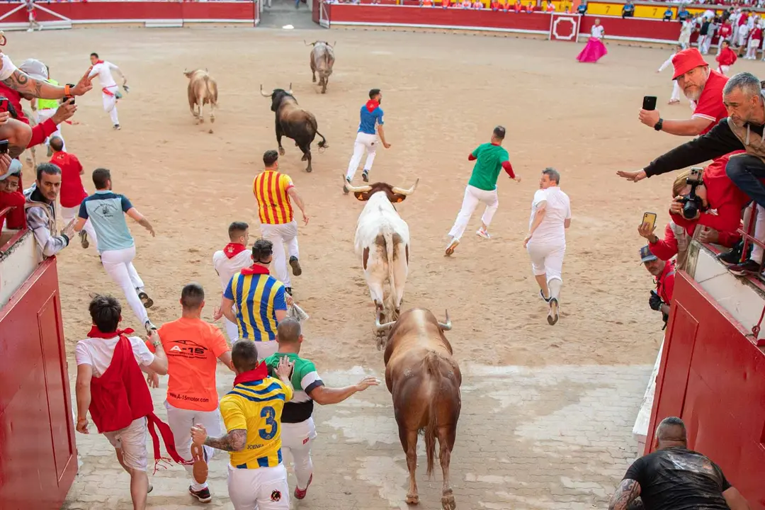 Tercer encierro de San Fermín con toros de Álvaro Núñerz en callejón plaza.. Maite H. Mateo.-07