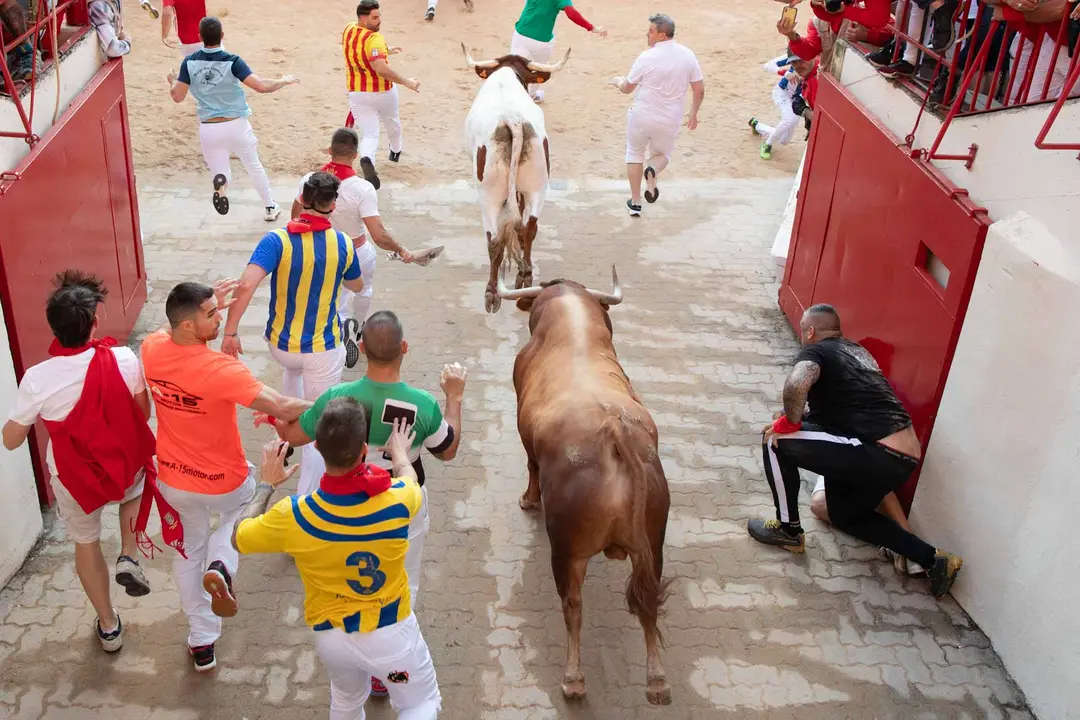 Tercer encierro de San Fermín con toros de Álvaro Núñerz en callejón plaza.. Maite H. Mateo.-08