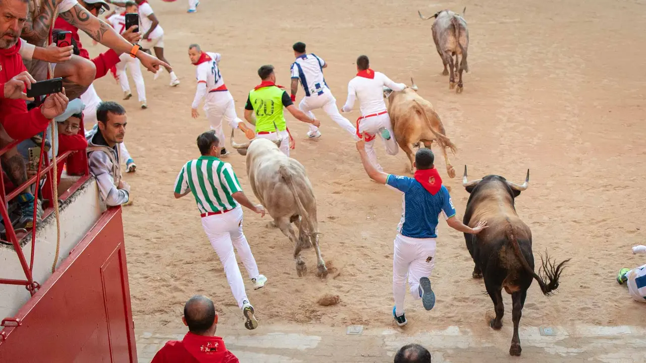 Tercer encierro de San Fermín con toros de Álvaro Núñerz en callejón plaza.. Maite H. Mateo.-10