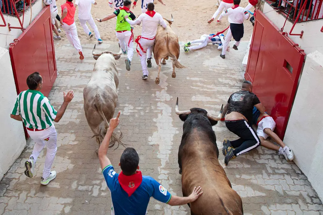 Tercer encierro de San Fermín con toros de Álvaro Núñerz en callejón plaza.. Maite H. Mateo.-12