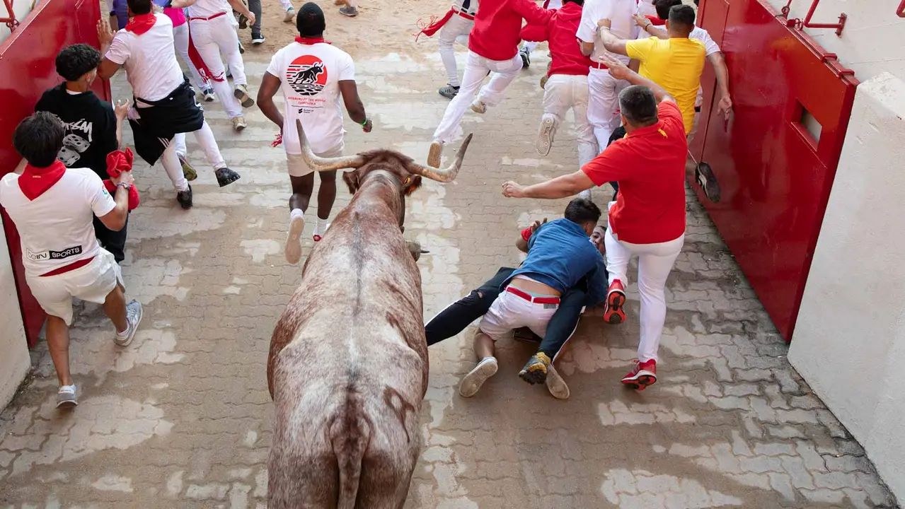 Tercer encierro de San Fermín con toros de Álvaro Núñerz en callejón plaza.. Maite H. Mateo.-15