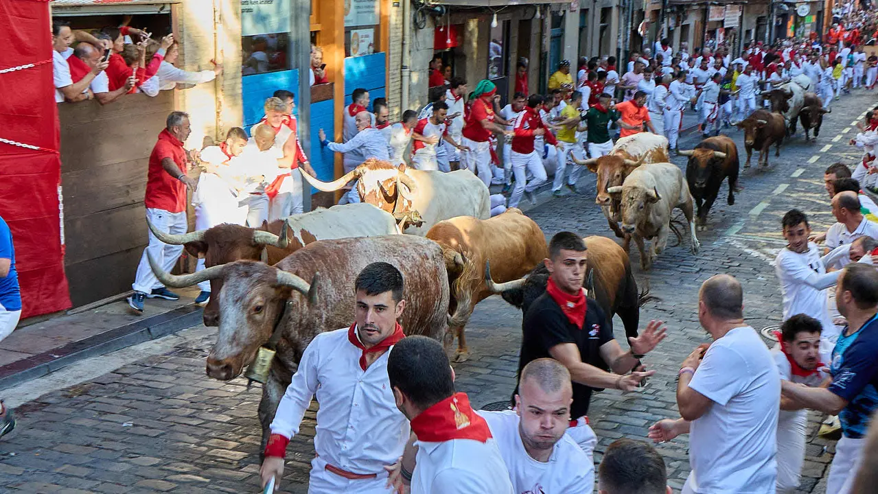 Tercer encierro de San Fermín 2025 con toros de Álvaro Núñez en el tramo de Santo Domingo. IÑIGO ALZUGARAY