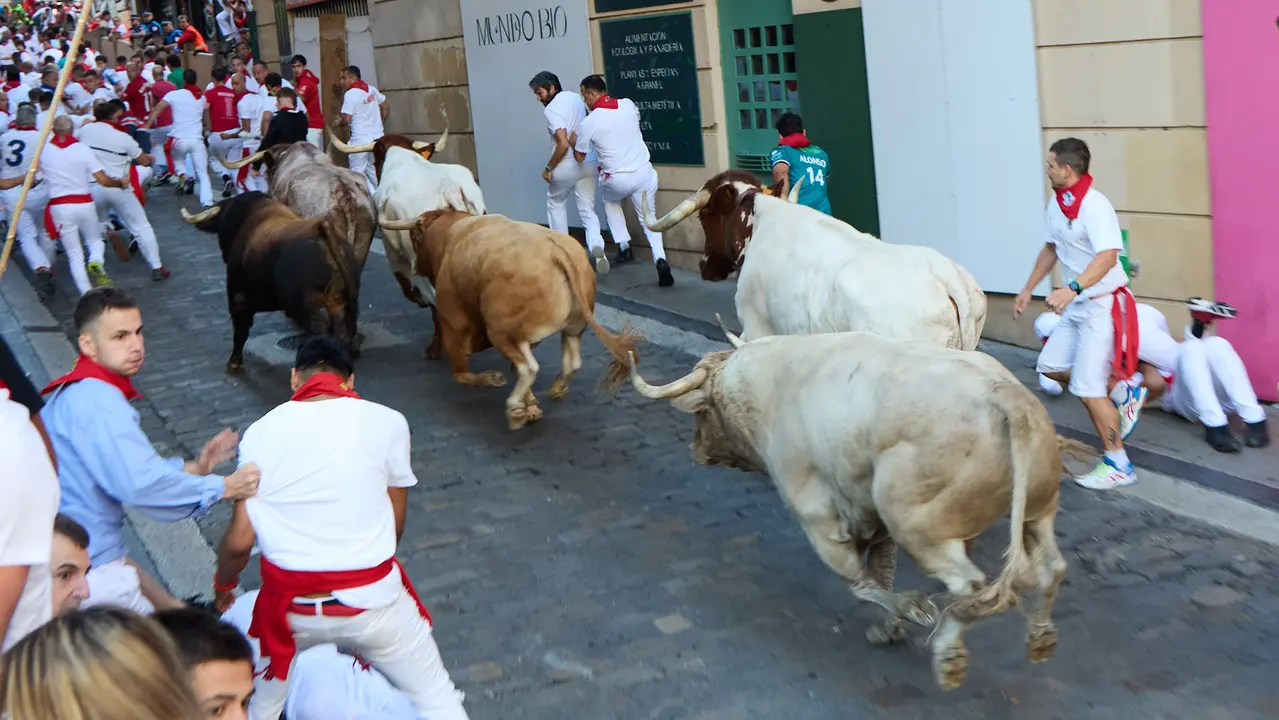Tercer encierro de San Fermín 2025 con toros de Álvaro Núñez en el tramo de Santo Domingo. IÑIGO ALZUGARAY