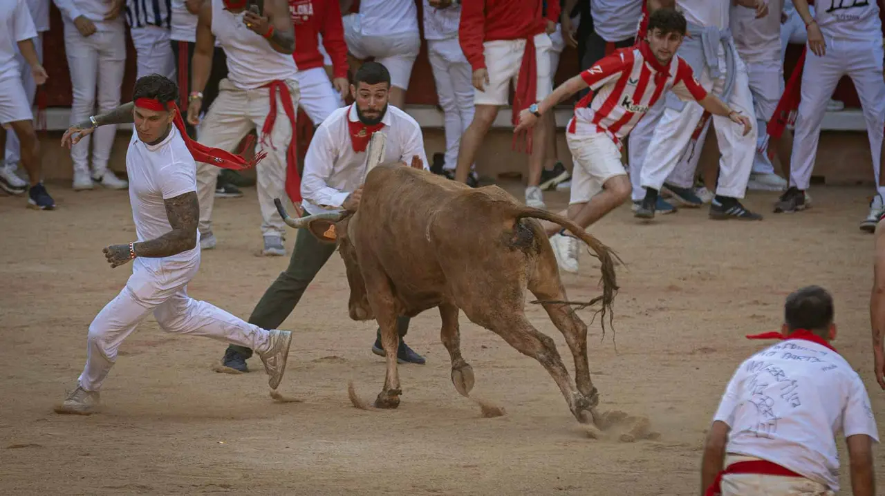 Suelta de vaquillas tras el tercer encierro de San Fermín en Pamplona.. Maite H. Mateo.-01