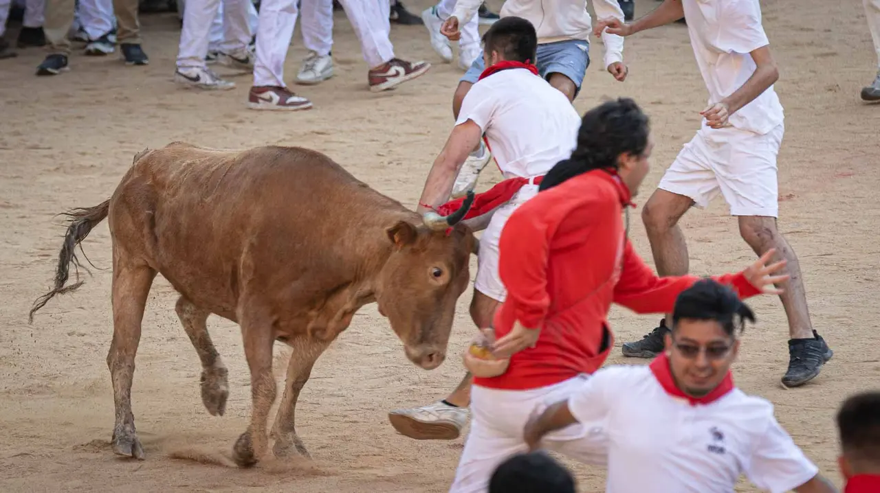 Suelta de vaquillas tras el tercer encierro de San Fermín en Pamplona.. Maite H. Mateo.-02